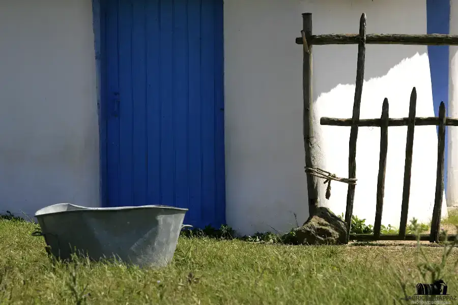 Marais Breton-Vendéen – horizon dégagé et prairie rase